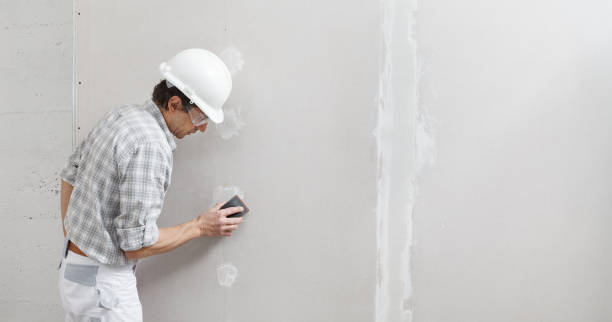 Best Water-Damaged Drywall Repair  in Dansville, NY